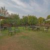 ranthambhore-kothi-garden